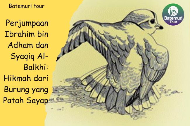 Perjumpaan Ibrahim bin Adham dan Syaqiq Al-Balkhi: Hikmah dari Burung yang Patah Sayap