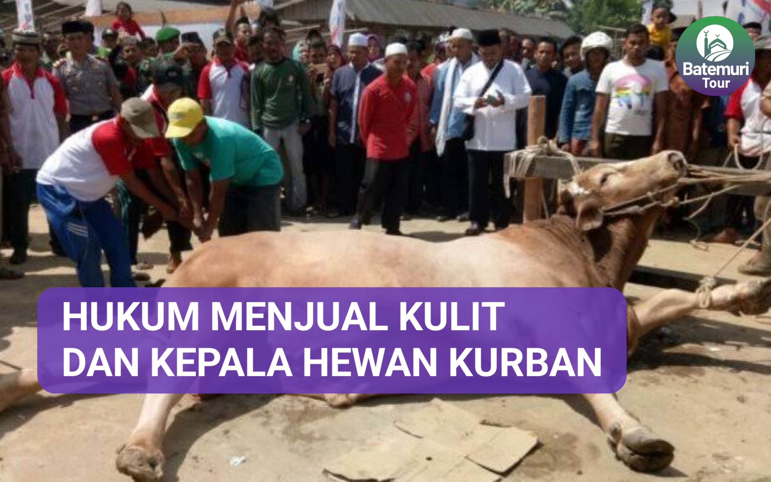 Hukum Menjual Kulit dan Kepala Hewan Kurban?